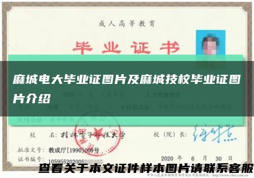 麻城電大畢業證圖片及麻城技校畢業證圖片介紹縮略圖
