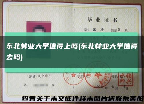 東北林業大學值得上嗎(東北林業大學值得去嗎)縮略圖