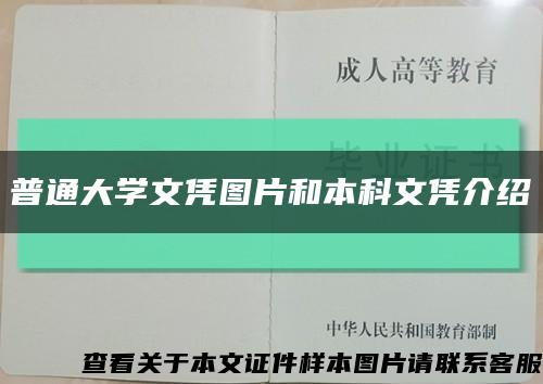 普通大學文憑圖片和本科文憑介紹縮略圖