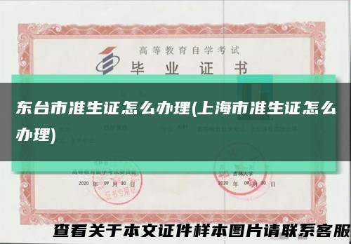 東臺市準生證怎么辦理(上海市準生證怎么辦理)縮略圖
