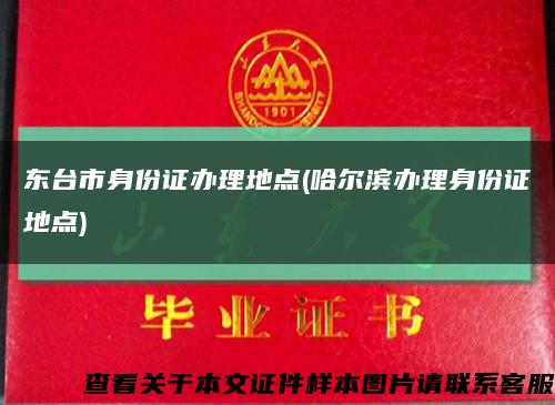 東臺市身份證辦理地點(哈爾濱辦理身份證地點)縮略圖