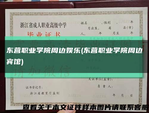 東營職業學院周邊娛樂(東營職業學院周邊賓館)縮略圖