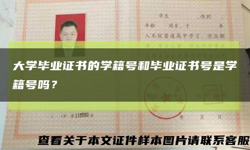 大學畢業證書的學籍號和畢業證書號是學籍號嗎？縮略圖