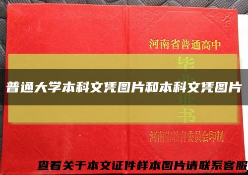 普通大學本科文憑圖片和本科文憑圖片縮略圖