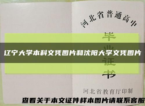 遼寧大學本科文憑圖片和沈陽大學文憑圖片縮略圖