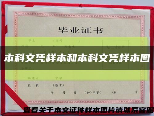 本科文憑樣本和本科文憑樣本圖縮略圖