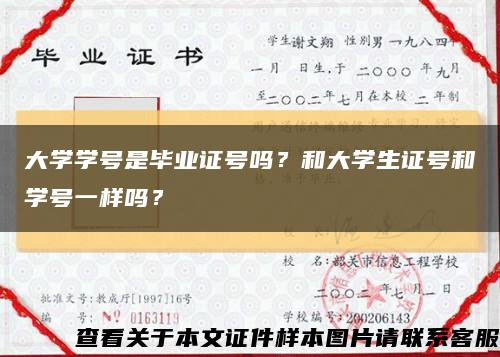 大學學號是畢業證號嗎？和大學生證號和學號一樣嗎？縮略圖