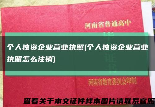 個人獨資企業營業執照(個人獨資企業營業執照怎么注銷)縮略圖