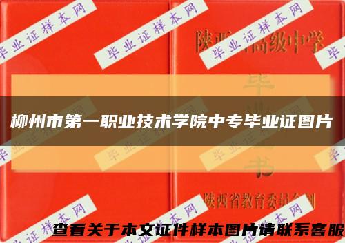 柳州市第一職業技術學院中專畢業證圖片縮略圖
