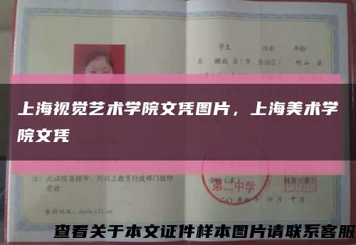 上海視覺藝術學院文憑圖片，上海美術學院文憑縮略圖