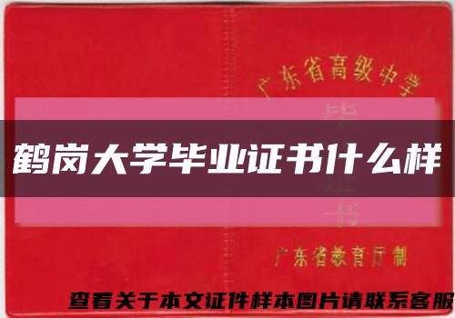 鶴崗大學畢業證書什么樣縮略圖