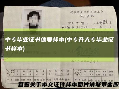 中專畢業證書編號樣本(中專升大專畢業證書樣本)縮略圖
