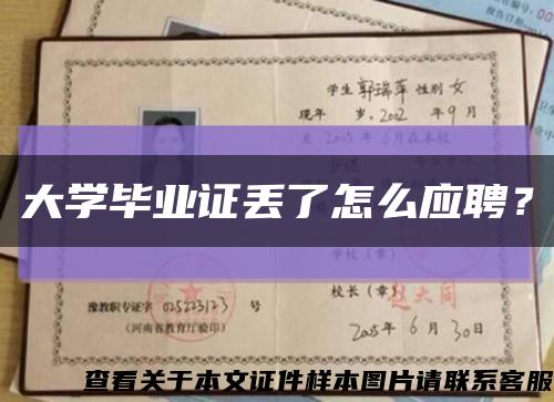 大學畢業證丟了怎么應聘？縮略圖