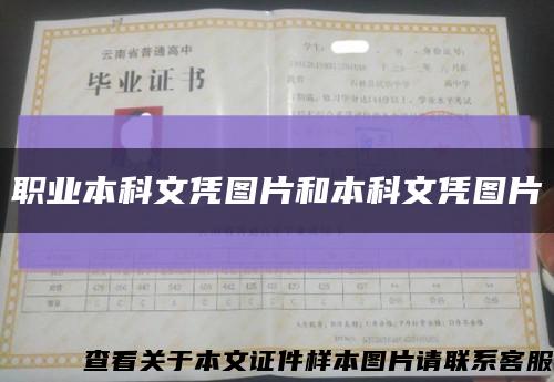 職業本科文憑圖片和本科文憑圖片縮略圖