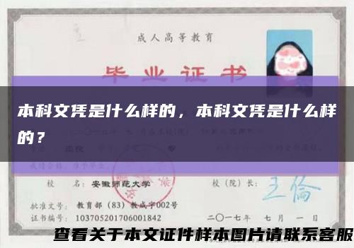 本科文憑是什么樣的，本科文憑是什么樣的？縮略圖
