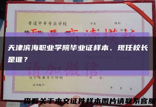 天津濱海職業學院畢業證樣本、現任校長是誰？縮略圖