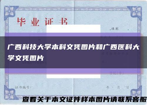 廣西科技大學本科文憑圖片和廣西醫科大學文憑圖片縮略圖