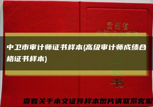 中衛市審計師證書樣本(高級審計師成績合格證書樣本)縮略圖