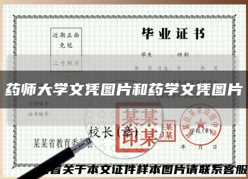 藥師大學文憑圖片和藥學文憑圖片縮略圖