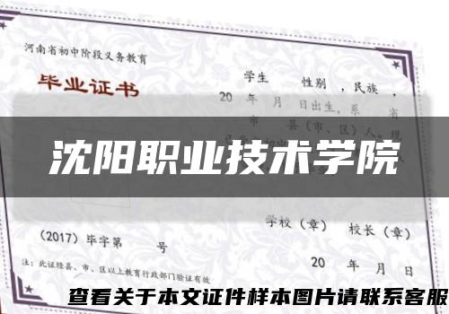 沈陽職業技術學院縮略圖