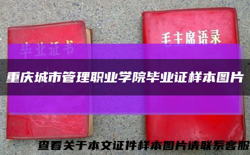 重慶城市管理職業學院畢業證樣本圖片縮略圖