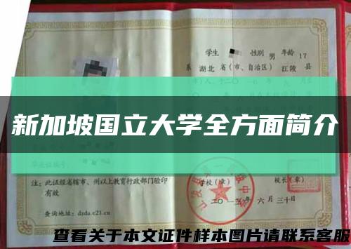 新加坡國立大學全方面簡介縮略圖