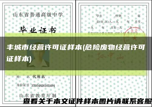 豐城市經營許可證樣本(危險廢物經營許可證樣本)縮略圖