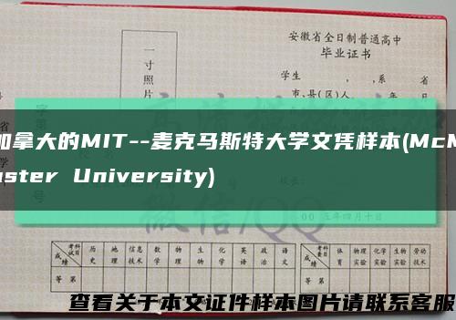 加拿大的MIT--麥克馬斯特大學文憑樣本(McMaster University)縮略圖