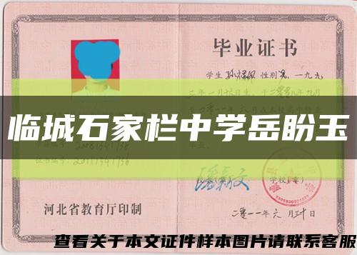 臨城石家欄中學岳盼玉縮略圖