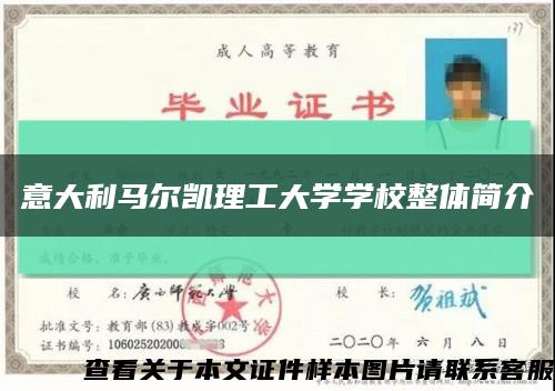 意大利馬爾凱理工大學學校整體簡介縮略圖