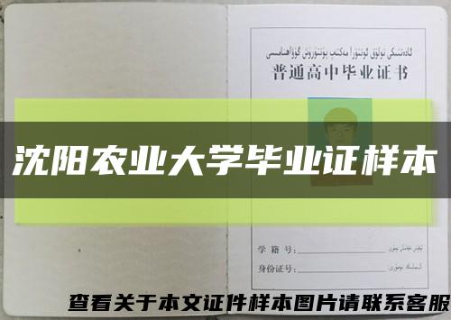 沈陽農業大學畢業證樣本縮略圖