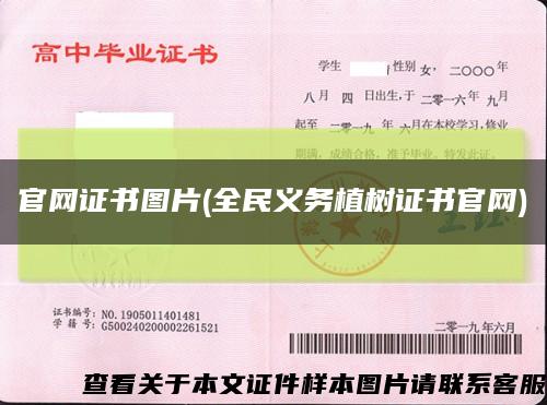 官網證書圖片(全民義務植樹證書官網)縮略圖