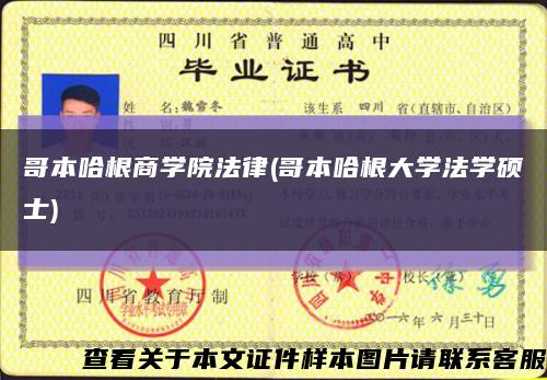 哥本哈根商學院法律(哥本哈根大學法學碩士)縮略圖