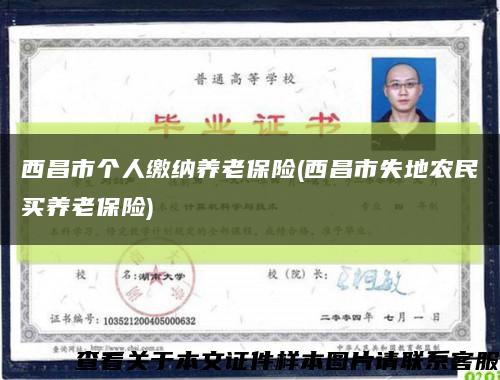 西昌市個人繳納養老保險(西昌市失地農民買養老保險)縮略圖