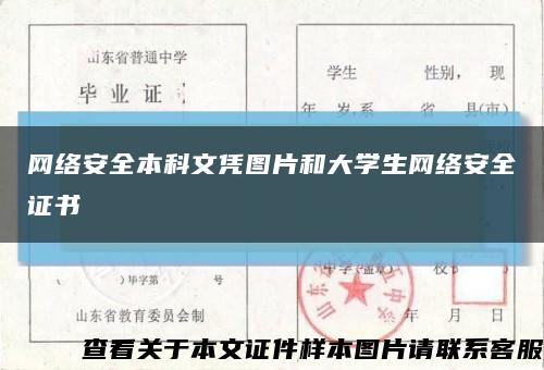 網絡安全本科文憑圖片和大學生網絡安全證書縮略圖
