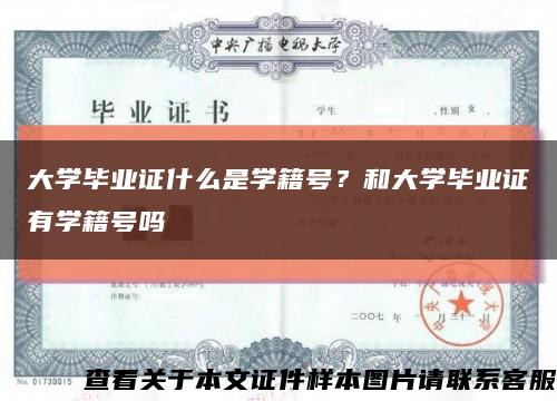 大學畢業證什么是學籍號？和大學畢業證有學籍號嗎縮略圖