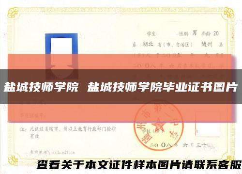 鹽城技師學院 鹽城技師學院畢業證書圖片縮略圖