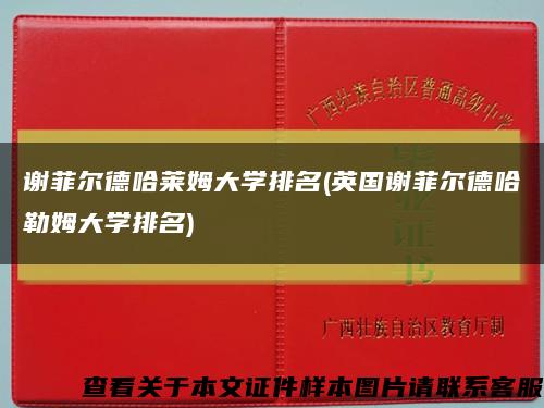 謝菲爾德哈萊姆大學排名(英國謝菲爾德哈勒姆大學排名)縮略圖