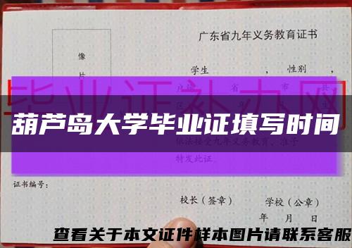 葫蘆島大學畢業證填寫時間縮略圖