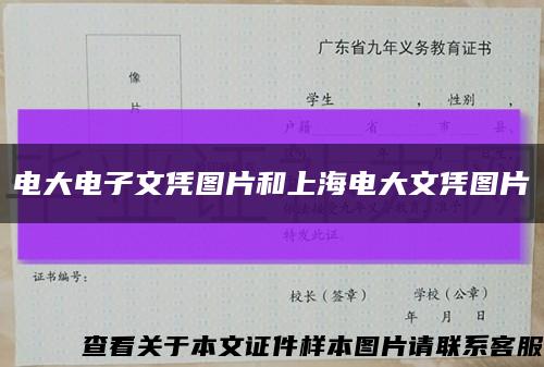 電大電子文憑圖片和上海電大文憑圖片縮略圖