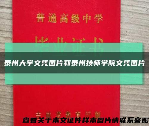 泰州大學文憑圖片和泰州技師學院文憑圖片縮略圖