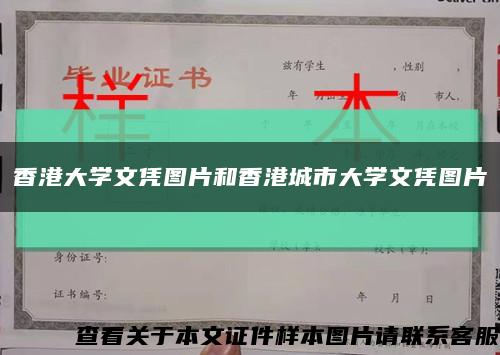 香港大學文憑圖片和香港城市大學文憑圖片縮略圖