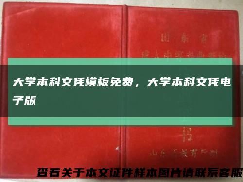 大學本科文憑模板免費，大學本科文憑電子版縮略圖