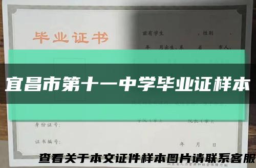 宜昌市第十一中學畢業證樣本縮略圖