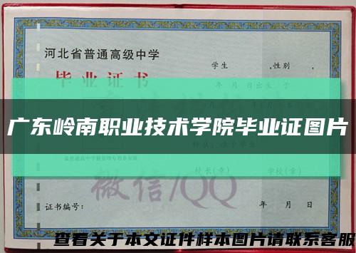 廣東嶺南職業技術學院畢業證圖片縮略圖