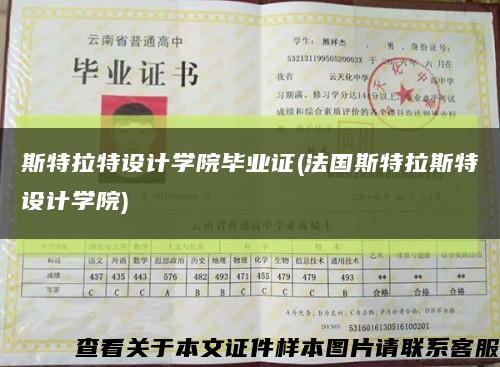 斯特拉特設計學院畢業證(法國斯特拉斯特設計學院)縮略圖