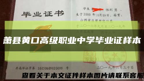 蕭縣黃口高級職業中學畢業證樣本縮略圖