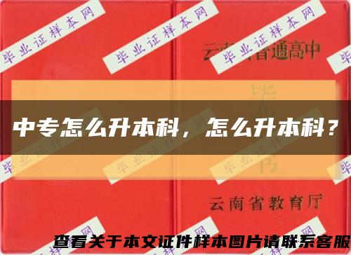 中專怎么升本科，怎么升本科？縮略圖