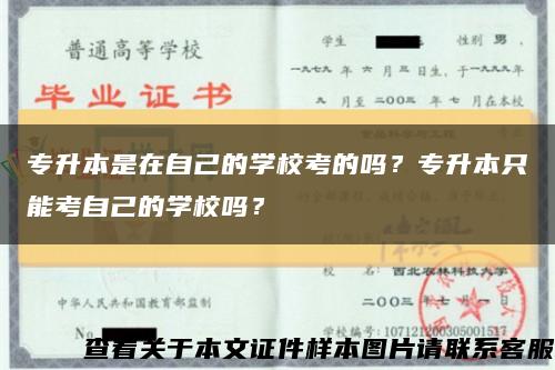 專升本是在自己的學?？嫉膯?？專升本只能考自己的學校嗎？縮略圖