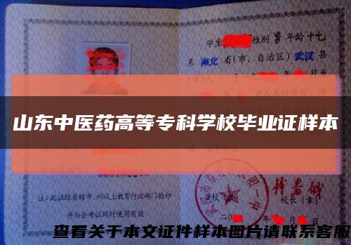 山東中醫藥高等?？茖W校畢業證樣本縮略圖